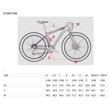 Wilier 401 discount