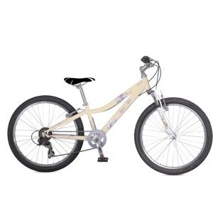 

Подростковый велосипед Alpine Bike 550SL 24"