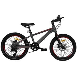 Детский велосипед MAXISCOO Horizon, 20, Серый Матовый/Сиреневый Хамелеон, 2022